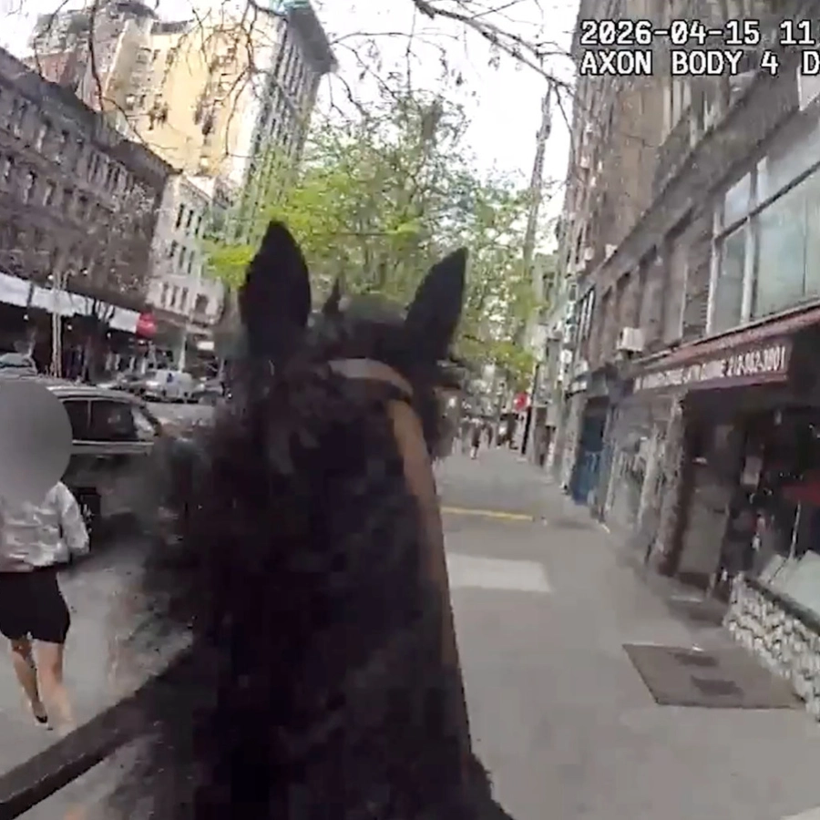 Wild Wild West Side: Horseback NYPD Cop Chases Down Suspected Purse Thief
